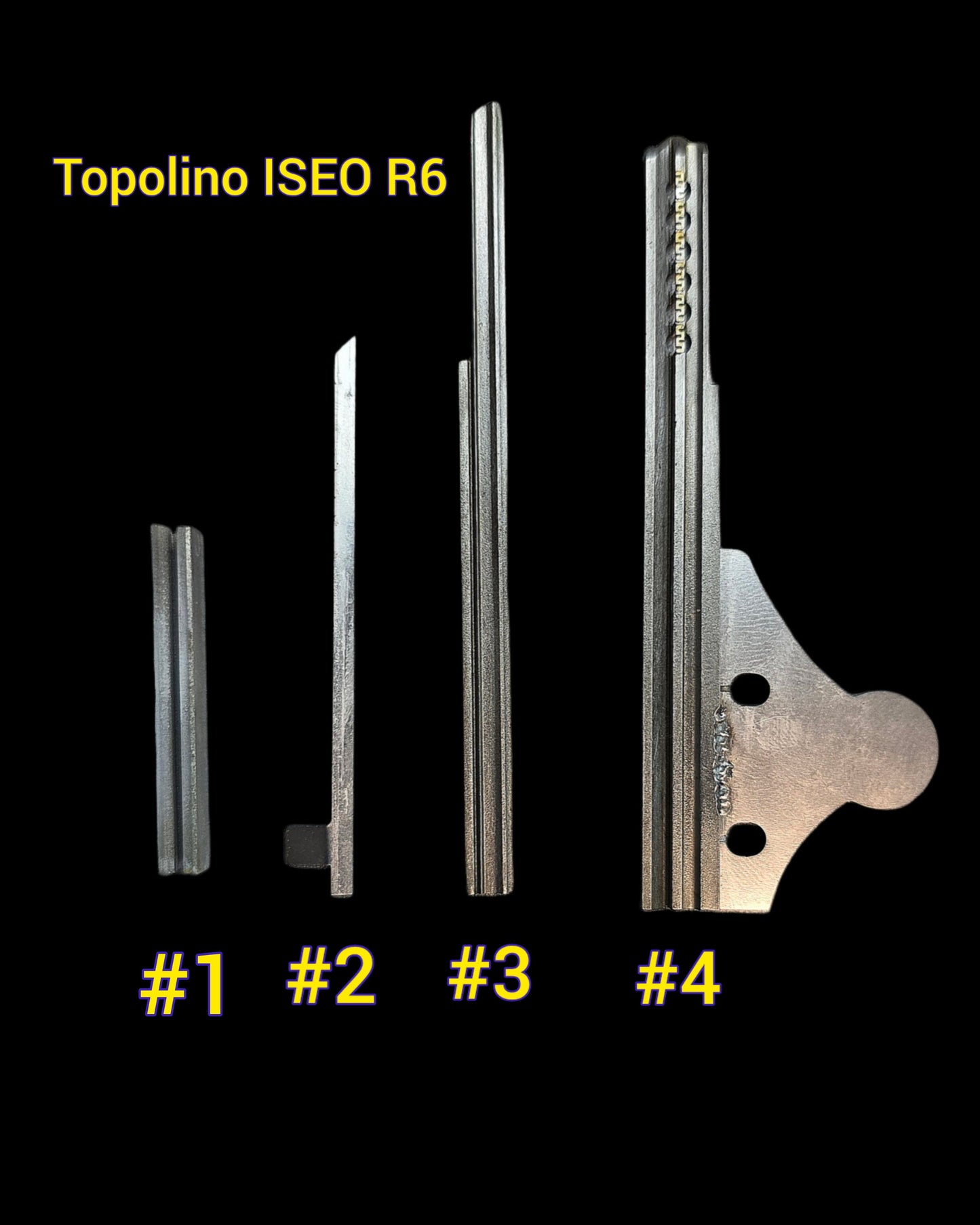 Repuestos para Topolino ISEO R6