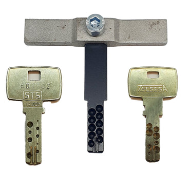 Импрессия Отмычка TECSESA/STS/DOM #1 Spain 🇪🇸